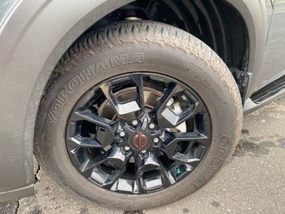 2025 Nissan Armada PRO-4X