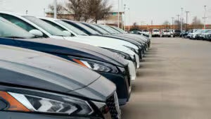 A row of modern SUVs parked side by side.